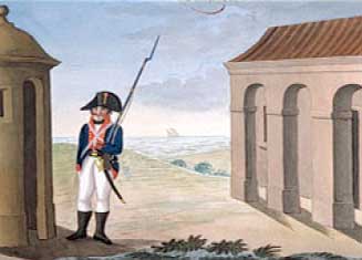 Soldado de batallones en tierra