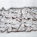 Isla de San Borondón por Leonardo Torrini, 1592