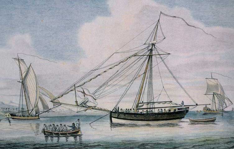 Buques apresados por los corsarios españoles en la guerra de la "Oreja de Jenkins"