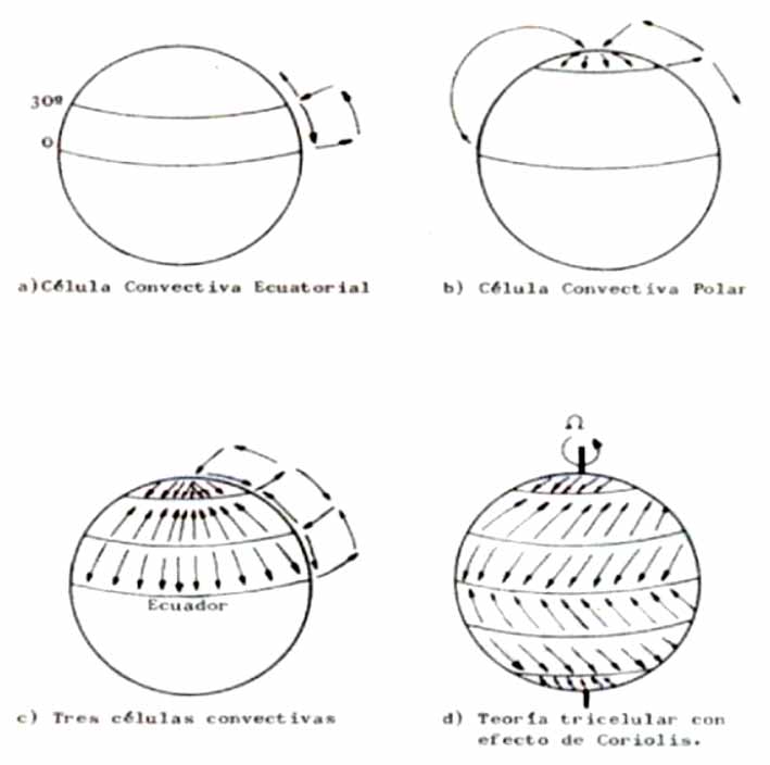 Teoría tricelular de la circulación atmosférica